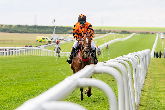 Newmarket July CourseNewmarket Town Plate. Picture by Mark West