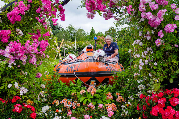 Peter Beales Rose Festival