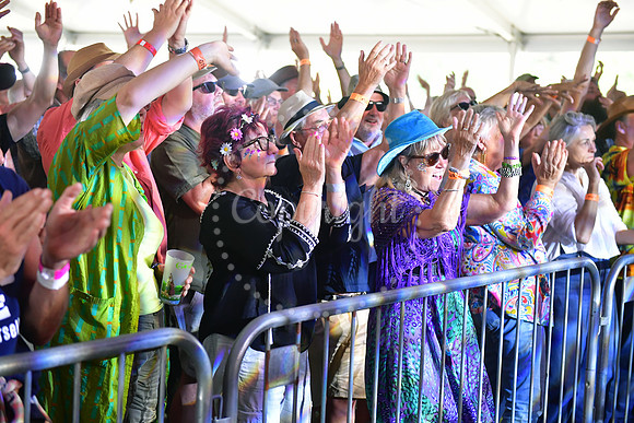 Gate To Southwell Festival