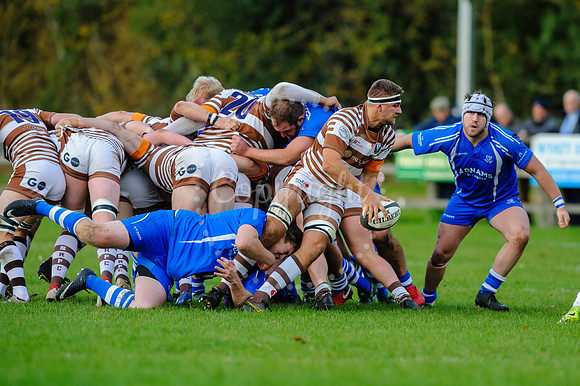 Rugby action from Diss v Southend Saxons in London 1 North.