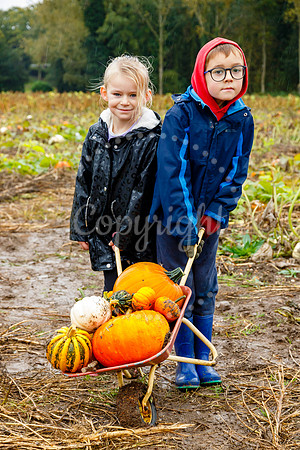 Mrs G’s Pumpkin Patch in Garboldisham opening day
