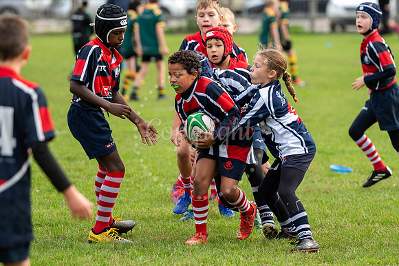 Bury St Edmunds Rugby Club, Southgate Green, Bury St Edmunds Bu