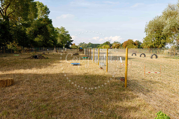 Westbrooke Green Farm dog park