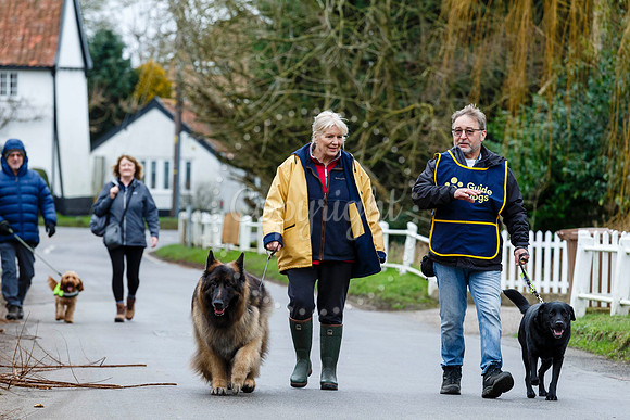 Fressingfield New Year’s Day Dog Walk