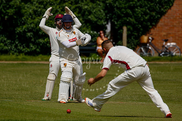 Cricket action from Diss vs Old Buckenham