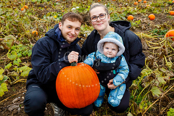 Mrs G’s Pumpkin Patch in Garboldisham opening day