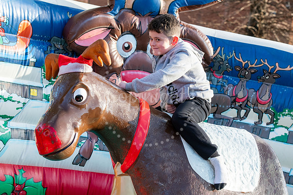 Memorial Hall gardens, NewmarketWinter Wonderland with reindeer