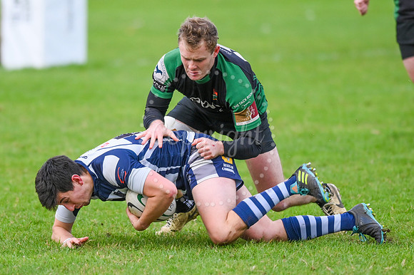 Newmarket Rugby ClubNewmarket v Cantabrigian. Picture by Mark W