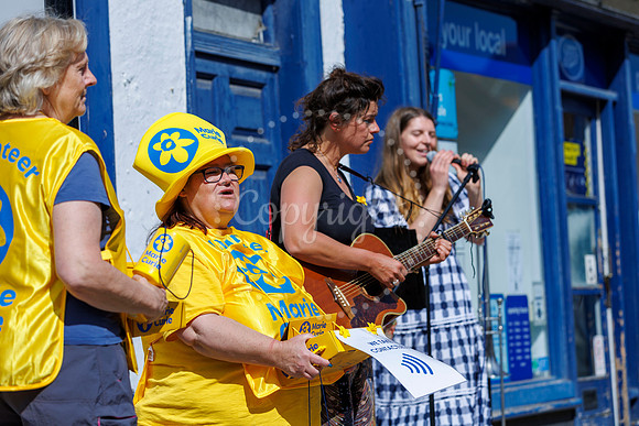 Marie Curie Charity collection Harleston