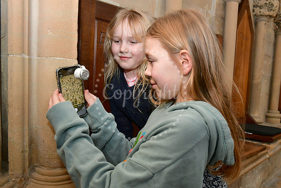 Festival of Science & Curiosity event at Southwell Minster