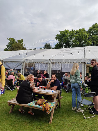 Beer Festival