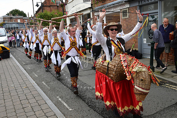 Gate to Southwell Festival