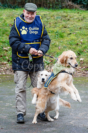 Fressingfield New Year’s Day Dog Walk