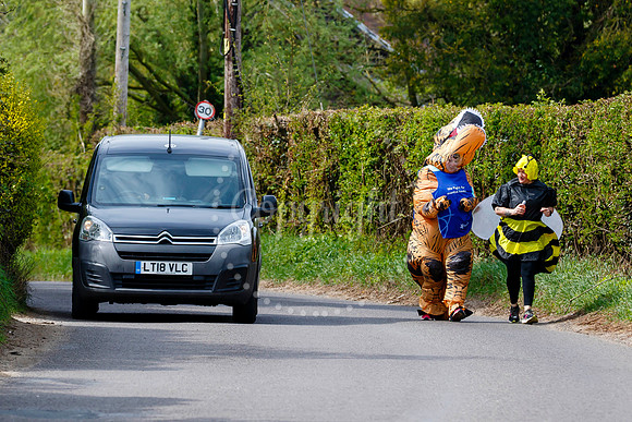 Dinosaur and Bumblebee Half Marathon Run