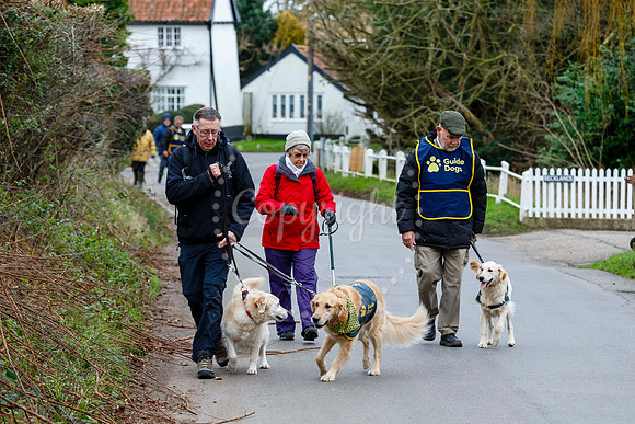 Fressingfield New Year’s Day Dog Walk