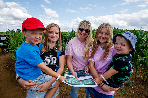 Pulham Market Maize Maze and PYO Wildflowers held at Pulham Patc