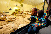 Banham Zoo has offered kids go free during the half term week.