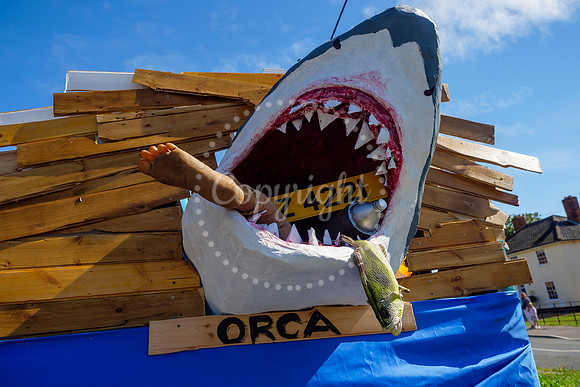 Pulham Market Carnival whose theme this year of ‘Under the Sea