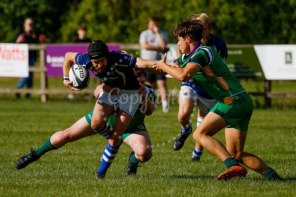 Rugby action from Diss vs Saffron Walden