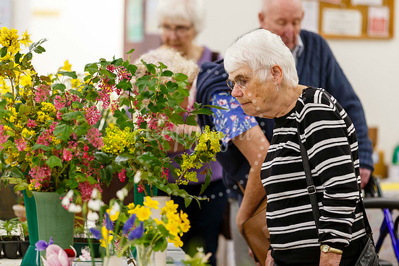 Diss and District Horticultural Society Spring Flower Show