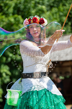 BFP West Stow Anglo Saxon VillageDragon Fest. Picture by Mark W