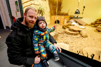 Banham Zoo has offered kids go free during the half term week.