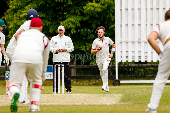 Cricket action from Old Buckenham v Norwich