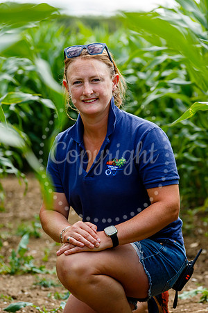 Pulham Market Maize Maze and PYO Wildflowers held at Pulham Patc