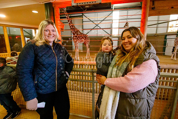 Banham Zoo has offered kids go free during the half term week.