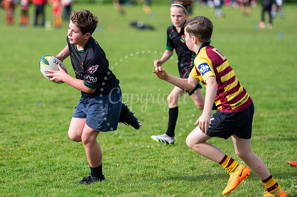 Bury St Edmunds Rugby Club, Southgate Green, Bury St Edmunds Bu