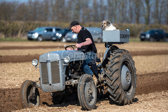 BFP Ampton Hall Estates, Ampton, Suffolk Vintage Ploughing Socie
