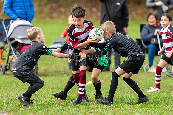 Bury St Edmunds Rugby Club, Southgate Green, Bury St Edmunds Bu