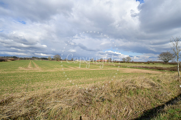 One Earth solar farm, Dunham on Trent