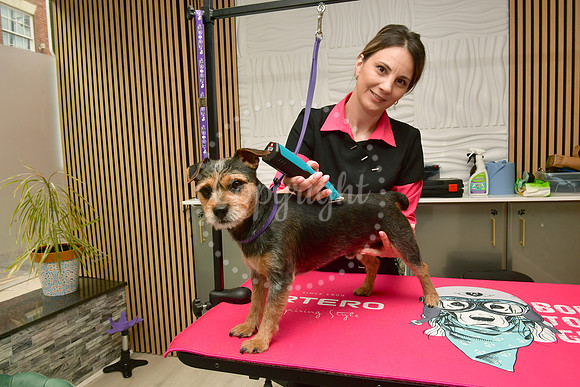 Temple of Dog Grooming