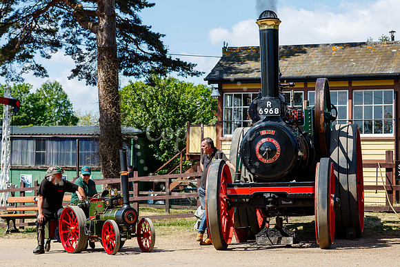 Bressingham Steam Museum annual steam gala