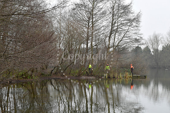 Coppicing at Balderton Lake