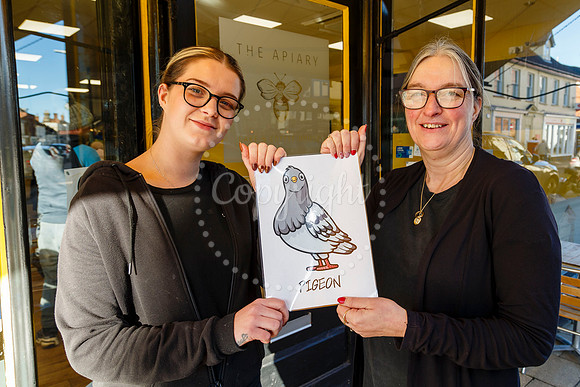 Visit Harleston has organised a Bird Trail around the town