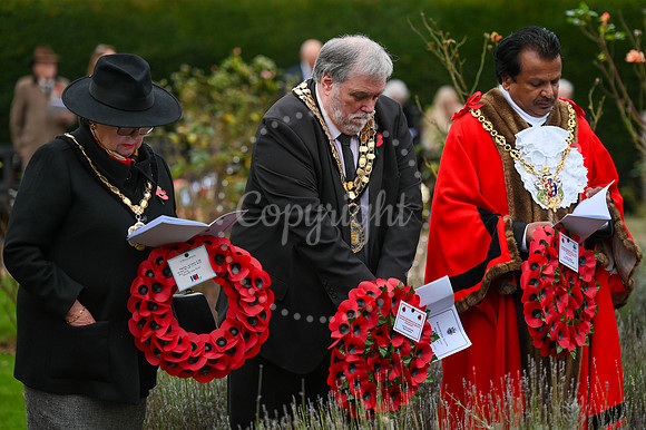 Rose Garden, Abbey Gardens Remembrance service. Picture by Mark