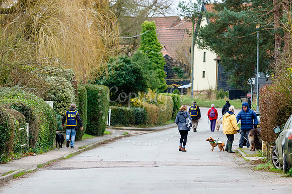 Fressingfield New Year’s Day Dog Walk