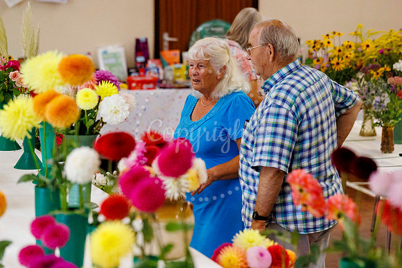 Diss Horticultural Society Annual flower show at Roydon Village
