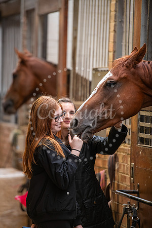 NewmarketNewmarket Stables open day and events on The Severals.