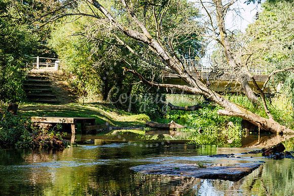 The River Waveney at Shotford Bridge.