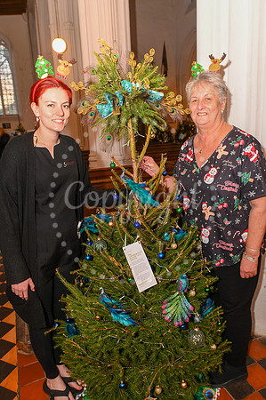 St Mary’s Church, 3 Hyde Park Corner, The Green, Cavendish Cavendish Christmas Tree Festival 2024 Picture Mark Westley.