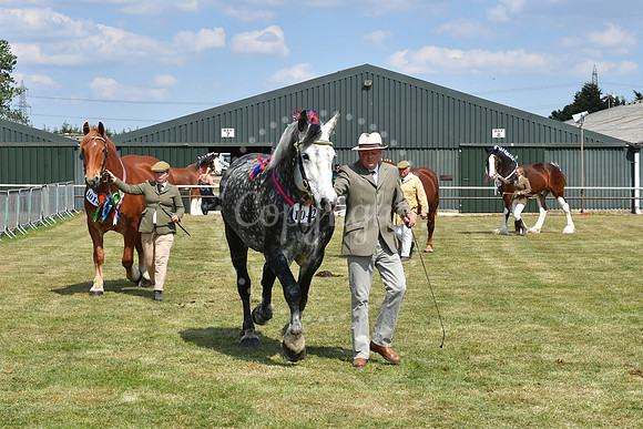 Nottinghamshire County Show
