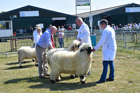 Nottinghamshire County Show