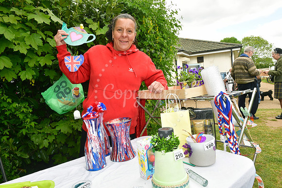 Bank Holiday Fun Day at Sconce and Devon Park