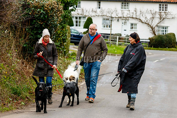 Fressingfield New Year’s Day Dog Walk