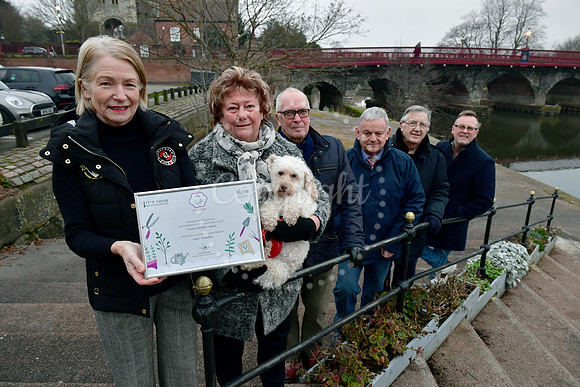 Newark in Bloom prelim pic
