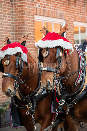 National Horseracing MuseumChristmas at the Museum with Santa
