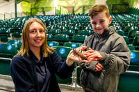 Banham Zoo has offered kids go free during the half term week.
